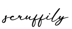 单词scruffily书写