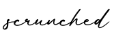 单词scrunched书写