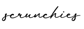 单词scrunchies书写