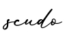 单词scudo书写