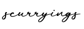 单词scurryings书写