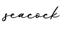 单词seacock书写