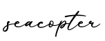 单词seacopter书写
