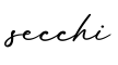 单词secchi书写