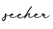单词secher书写