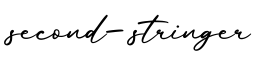 单词second-stringer书写