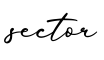 单词sector书写
