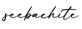 单词seebachite书写