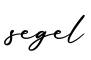 单词segel书写