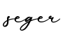 单词seger书写
