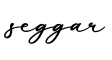 单词seggar书写
