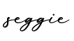 单词seggie书写