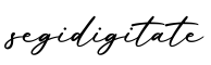 单词segidigitate书写