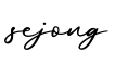 单词sejong书写