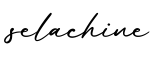 单词selachine书写
