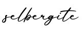 单词selbergite书写