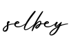 单词selbey书写
