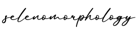 单词selenomorphology书写