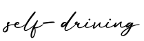 单词self-driving书写