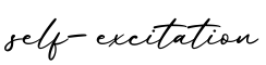 单词self-excitation书写