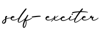 单词self-exciter书写