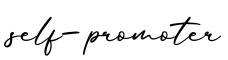 单词self-promoter书写