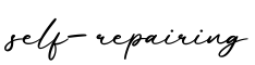 单词self-repairing书写