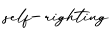 单词self-righting书写