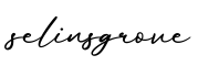单词selinsgrove书写
