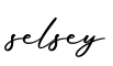 单词selsey书写
