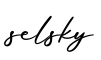 单词selsky书写