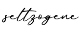 单词seltzogene书写