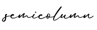 单词semicolumn书写