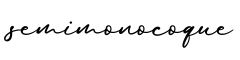 单词semimonocoque书写