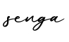 单词senga书写