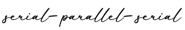 单词serial-parallel-serial书写