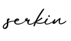 单词serkin书写
