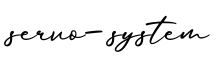 单词servo-system书写