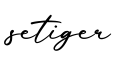 单词setiger书写