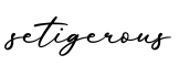 单词setigerous书写