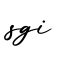 单词sgi书写