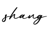 单词shang书写
