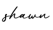 单词shawn书写
