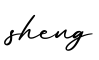 单词sheng书写