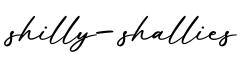 单词shilly-shallies书写