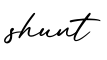 单词shunt书写