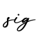 单词sig书写