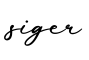 单词siger书写