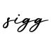 单词sigg书写