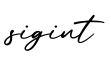 单词sigint书写
